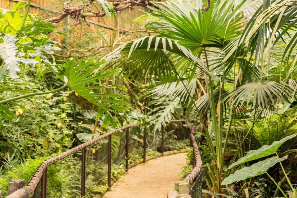 “Mundo Tropical” inaugurado no Zoo de Gaia