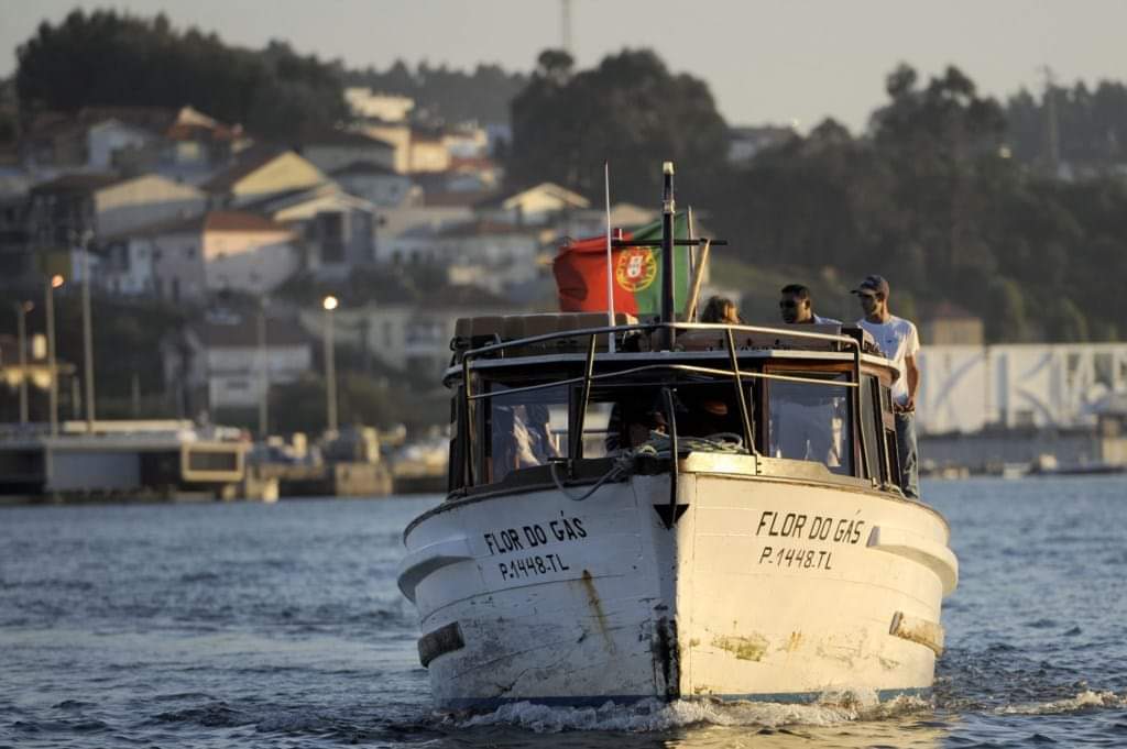 Porto vai propor a Gaia retomar ligação fluvial no Douro