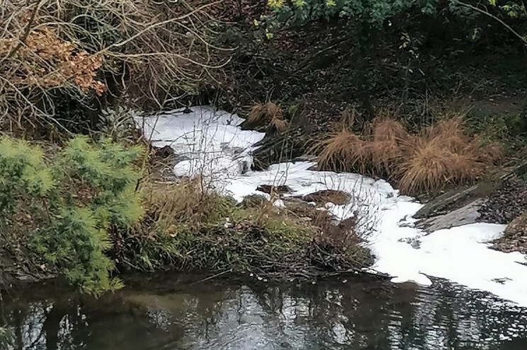 Autoridades identificam empresa que poluiu rio junto Zona Industrial em Valongo