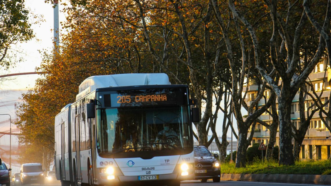 Transportes públicos gratuitos já abrangem 10 mil jovens de Gaia