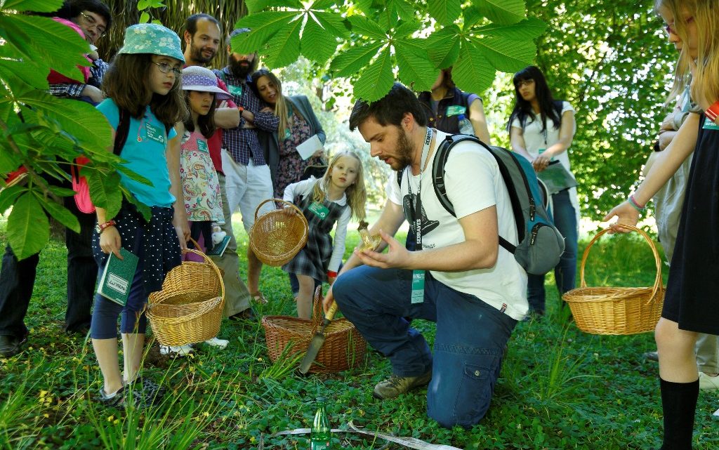 Parque de Serralves recebe mais uma edição do BioBlitz