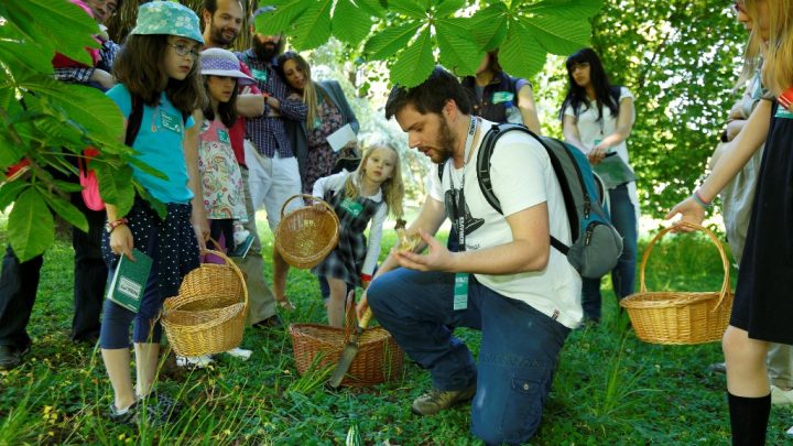 Parque de Serralves recebe mais uma edição do BioBlitz