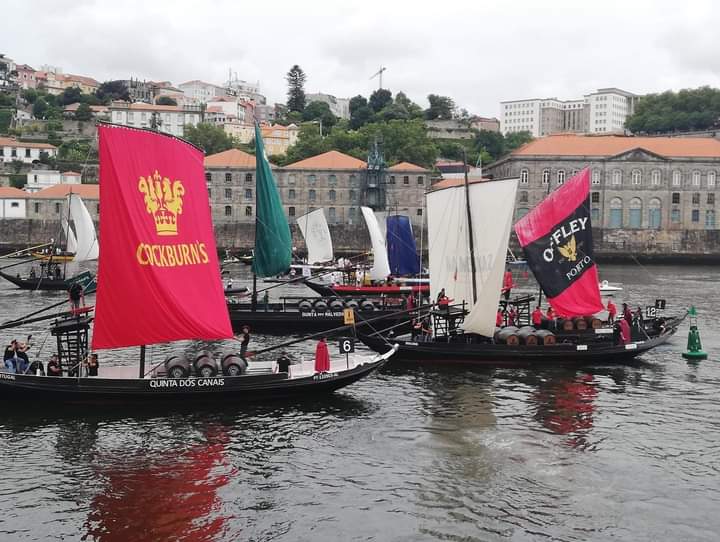 Histórica regata de Barcos Rabelo deu colorido ao rio Douro