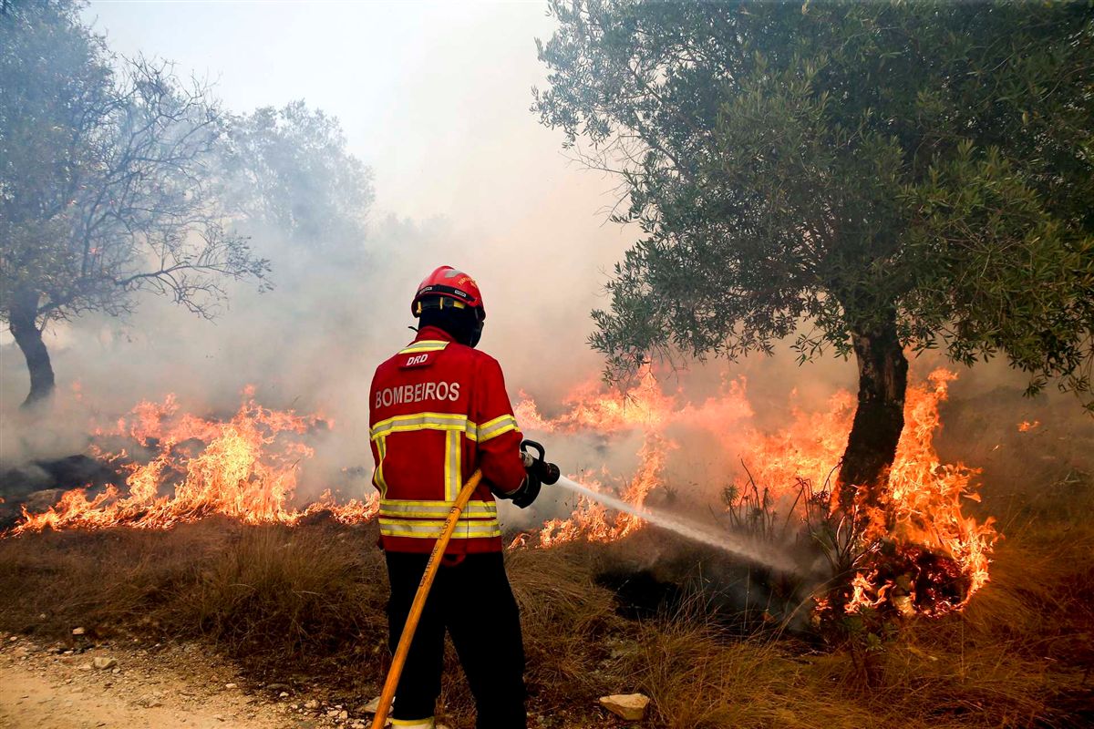 Fogo florestal em Gondomar mobilizou 44 bombeiros