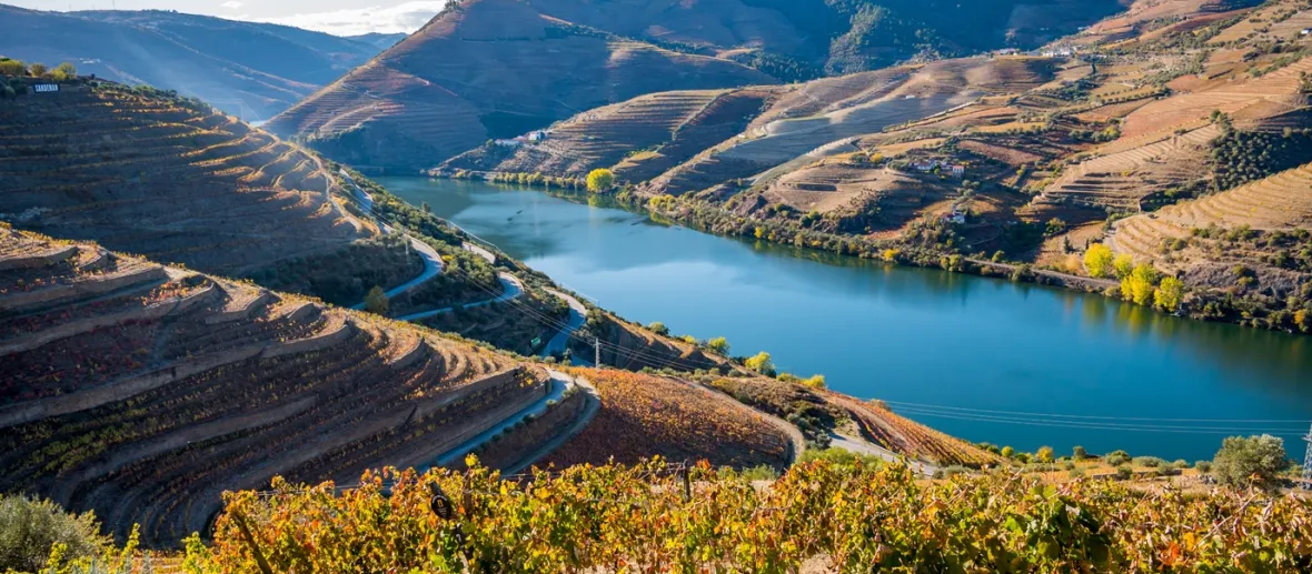 Douro eleito pela revista Condé Nast Traveller como um dos lugares mais bonitos da Europa