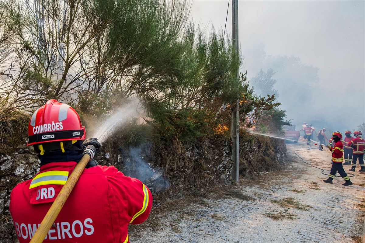 Incêndio florestal deflagra no concelho de Paredes