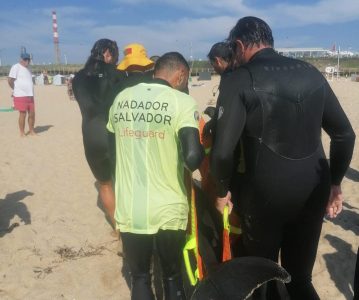 Bebé cachalote resgatado de uma praia em Matosinhos