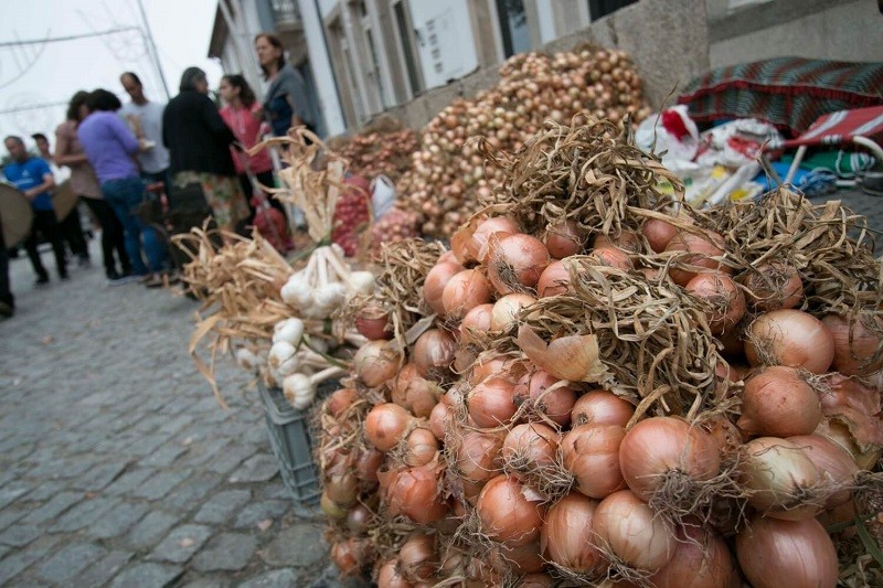 Feira das Cebolas na Maia tem início este fim de semana