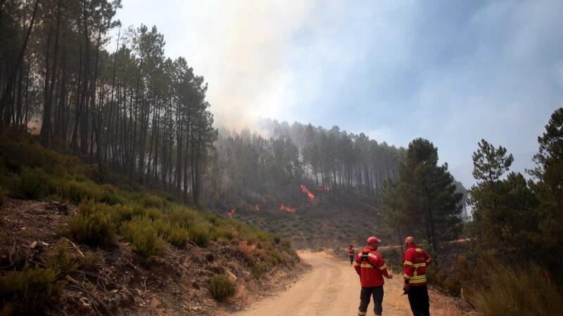 Temperaturas chegam hoje aos 39 graus em Portugal Continental