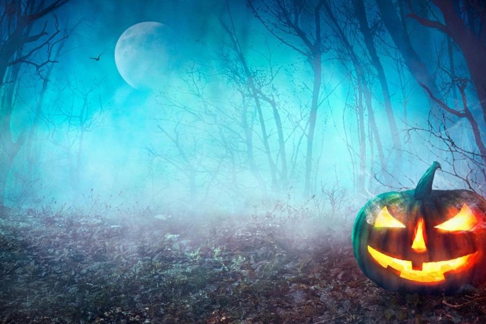 Parque Aventura e Trilho Ecológico organiza noite de Halloween com componente solidária