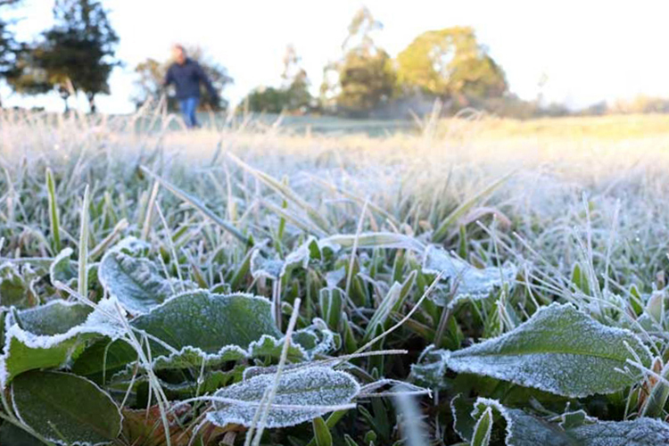 Vem aí muito frio: Temperaturas descem em força