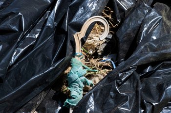 Limpeza voluntária no rio Tinto permite recolher 340 quilos de resíduos