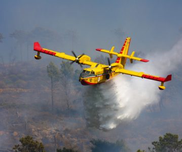 Mais de 100 concelhos do país em perigo muito elevado de incêndio