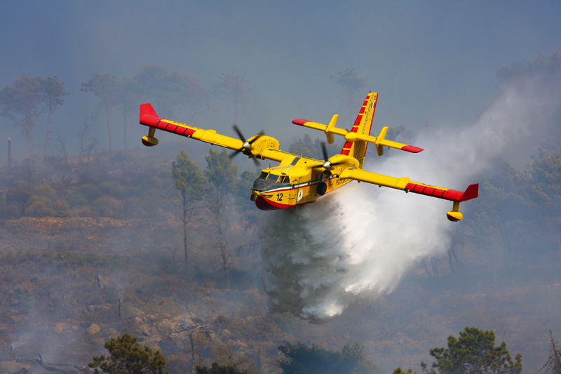 Mais de 100 concelhos do país em perigo muito elevado de incêndio