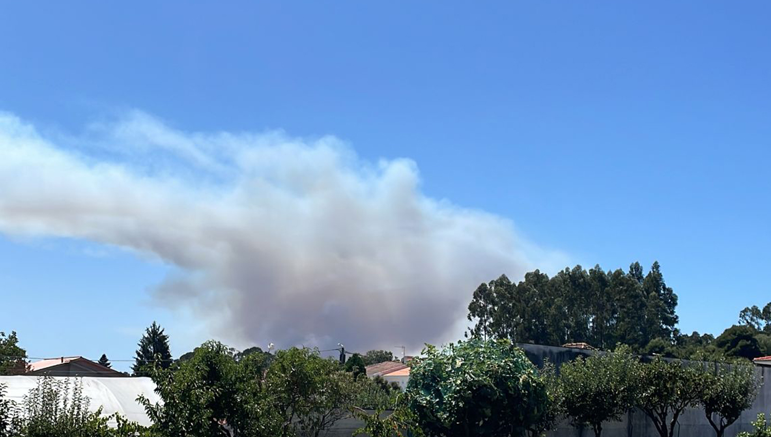 Incêndio em Paredes está novamente ativo