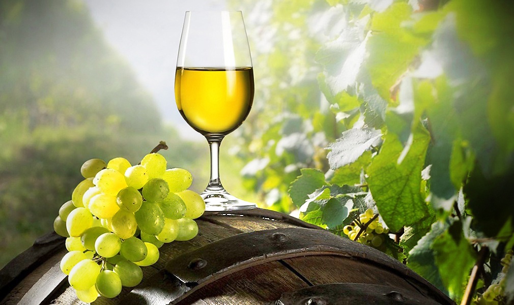 Arouca: Melhor Vinho Verde será divulgado durante a Feira das colheitas