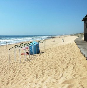 Paredes Inicia a sua Primeira Semana de Sustentabilidade com Limpeza da Praia da Aguda