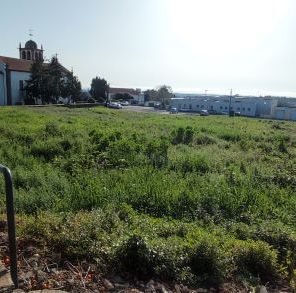 Autarquia de Oliveira de Azeméis apoia aquisição de terreno em Pinheiro da Bemposta
