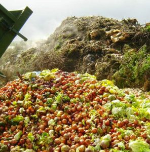 Grande Porto aumentou a reciclagem de resíduos verdes e alimentares em 2023