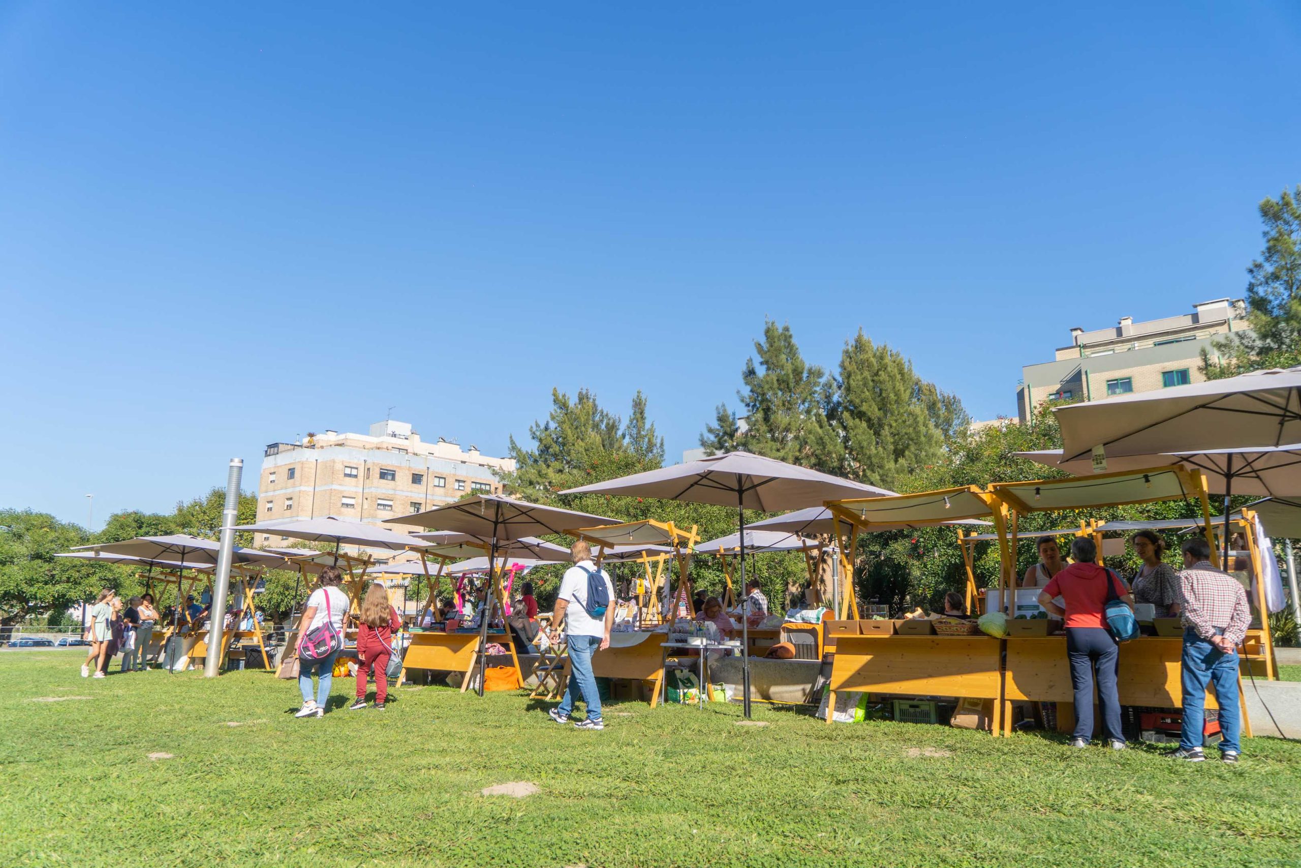 Mercadinho Urbano Regressa ao Jardim do Parque Central da Maia de 14 a 16 de Junho