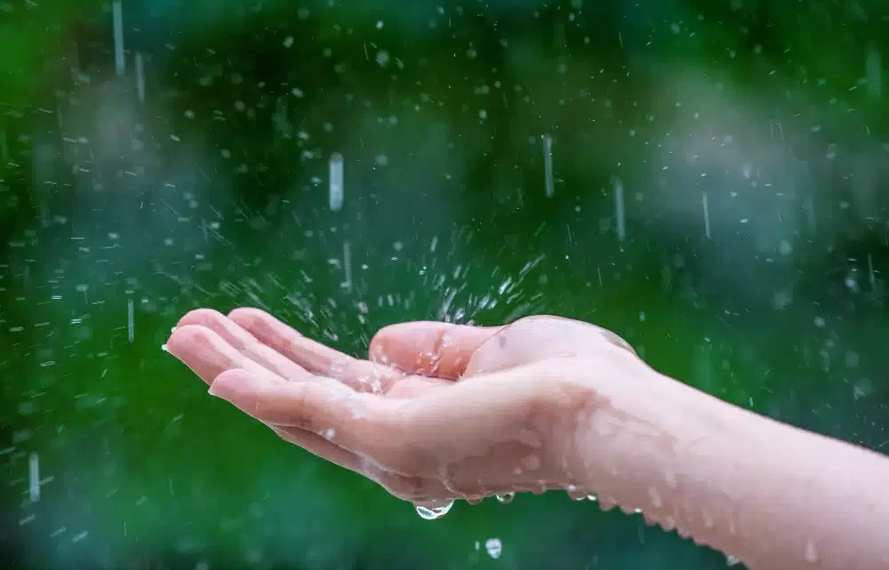 Regresso da chuva na Área Metropolitana do Porto este domingo