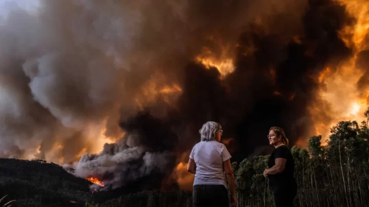 Incêndios Entre Porto e Aveiro Consomem Dez Mil Hectares e Causam Três Mortes