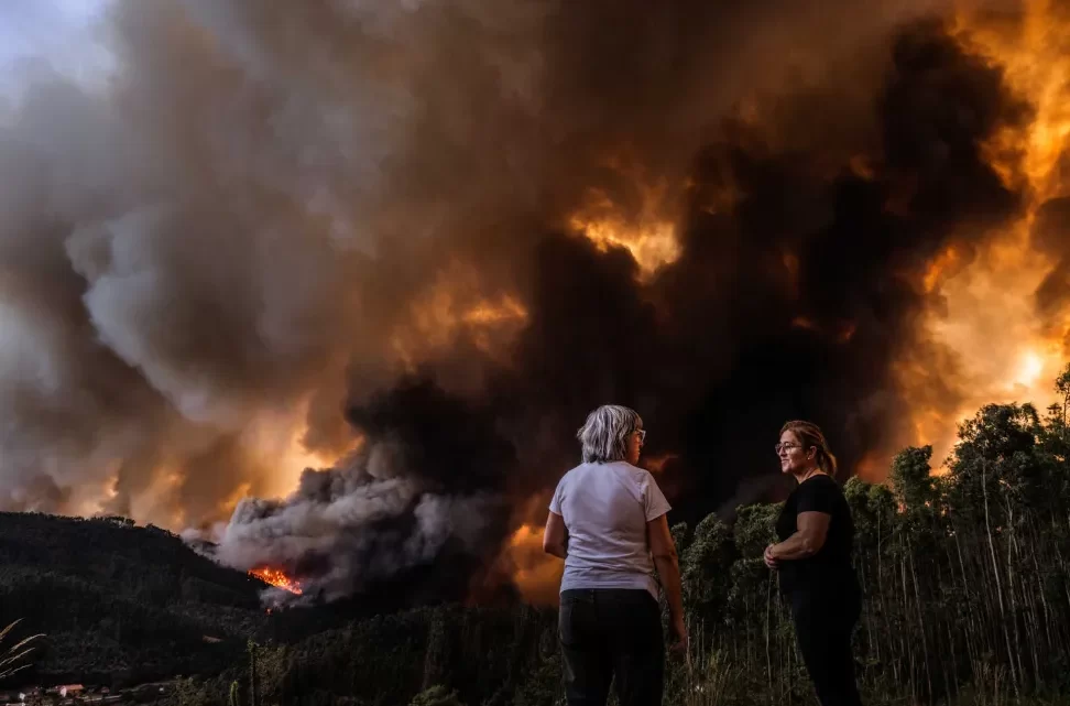 Incêndios Entre Porto e Aveiro Consomem Dez Mil Hectares e Causam Três Mortes