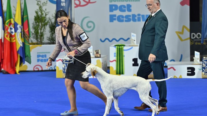 Gondomar Pet Festival 2025: O Universo Animal em Destaque