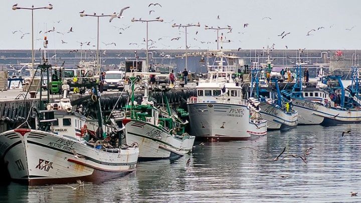 Embarcação “Praia do Neiva” Afunda-se no Porto de Leixões sem Registo de Vítimas