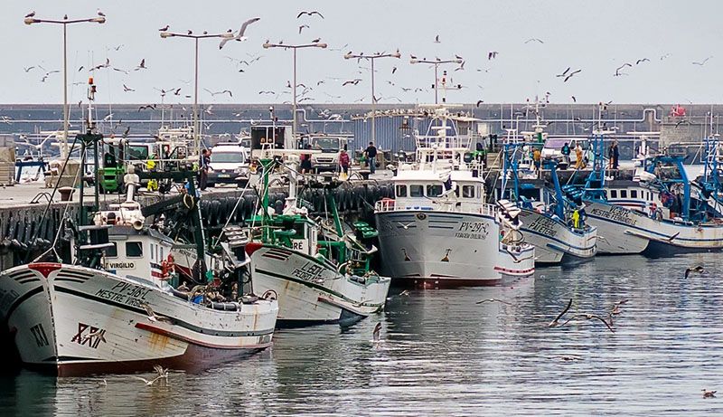 Embarcação “Praia do Neiva” Afunda-se no Porto de Leixões sem Registo de Vítimas